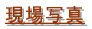 ʐ^